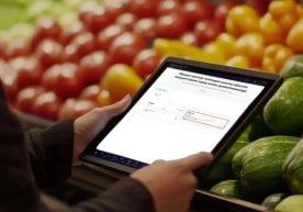 Ўзбекистонда 2026 йил 1 январдан қишлоқ хўжалиги