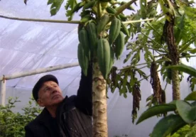 Қарши туманининг Мирмирон маҳалласида яшовчи нафақахўр