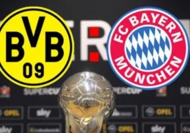 Avant la nouvelle saison du football allemand, le grand
