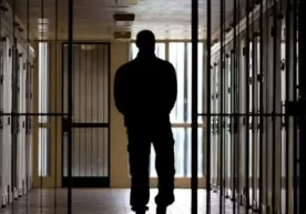 Олий суд расмий маълумотларига кўра, 2025 йил давомида