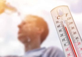 Қашқадарё ва Сурхондарё вилоятларида ҳаво ҳарорати 40