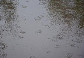 Ўзбекистоннинг барча ҳудудларида 16 май, якшанба куни
