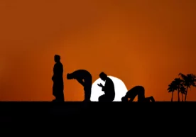 Олимлар олиб борган тадқиқотларнинг натижасига кўра, беш