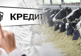 Фото: Прокуратура департаменти Сирдарё вилоятида йирик