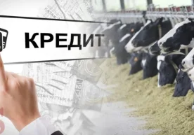 Фото: Прокуратура департаменти Сирдарё вилоятида йирик