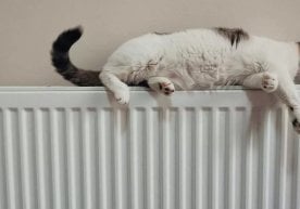 Тошкент шаҳридаги ижтимоий объектларда марказлаштирилган