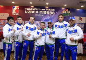 Бутунжаҳон бокс сериялари (WSB) VIII мавсум гуруҳ