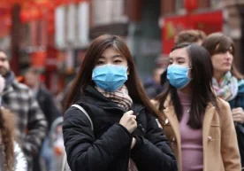 Хитойдан хат ёки посилкалар олиш хавфлими? Уй ҳайвонлари