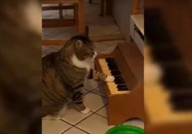 Фото: Видеодан кадр АҚШнинг Филадельфия шаҳрида яшовчи қиз