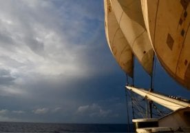 Италиялик Гулия Баккоси 2019-йилнинг Янги йилида дўстлари