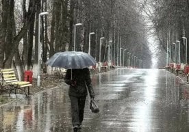 17 январ куни Ўзбекистоннинг аксарият ҳудудларида ёмғир ва