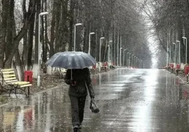 17 январ куни Ўзбекистоннинг аксарият ҳудудларида ёмғир ва