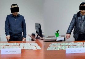 Давлат хавфсизлик хизмати ва ички ишлар органлари