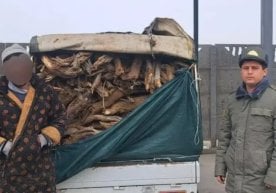 Хоразм вилояти Экология ва иқлим ўзгариши бошқармаси