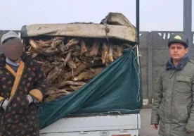 Хоразм вилояти Экология ва иқлим ўзгариши бошқармаси