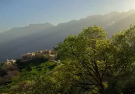 Уммон Султонлигида денгиз сатҳидан 2000 метр баландликда