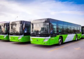 Хитойнинг Шаньдун провинциясидаги Циндао шаҳрида яқин вақт