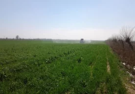 Ерфурушлик билан боғлиқ жиноятлар «Иван Васильевич касбини