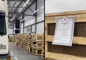 Новосибирскнинг Толмачево аэропортига Украинадан россиялик