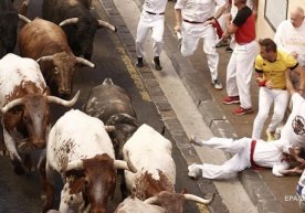 Ispaniyada buqalar bilan o‘tkazilgan poygalarda 22 kishi jarohat oldi (foto, video) фото