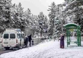 16 декабр куни учун об-ҳаво прогнози эълон қилинди фото