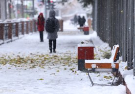 14 январ куни ҳарорат 12 даража совуқни ташкил этади фото