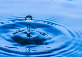 Фото: «Lyd.org» Австриялик физиклар дунёда биринчи бўлиб