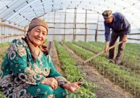 Vaqtincha ishsizlarga tomorqadan foydalanish uchun subsidiyalar ajratiladi фото