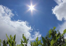 Yozda havo qanday bo‘ladi — sinoptiklar yoz issiq kelishini aytmoqda фото