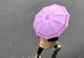 “Ўзгидромет” маълумотига кўра, 8 февраль куни республика