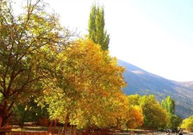 O‘zbekistonda 23 sentyabr kuni qanday ob-havo bo‘lishi ma’lum qilindi фото