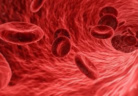 Заифлик, тез чарчаш, бош айланиши ёки соч тўкилиши — булар