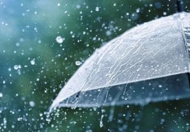 Ўзбекистонда ҳафта давомида мўтадил совуқ об-ҳаво