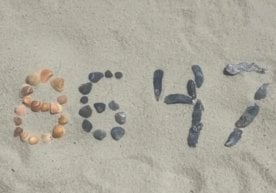 Shimoliy Karolina sharqiy okrugidagi katta hakamlar