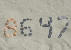 Шимолий Каролина шарқий округидаги катта ҳакамлар ҳайъати