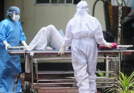 Ҳиндистонда Нипаҳ вируси билан боғлиқ касалланиш ҳолатлари