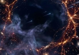 An international team of cosmologists and radio