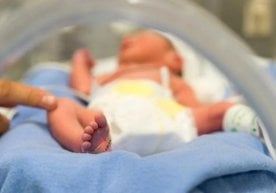 Британияда митохондриал донорлик терапияси доирасида уч