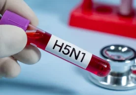 Халқаро олимлар гуруҳи парранда гриппи вируси (H5N1)нинг