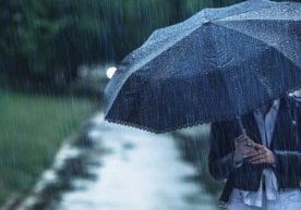 Ўзгидромет маълумотларига кўра, 31 октябрь куни