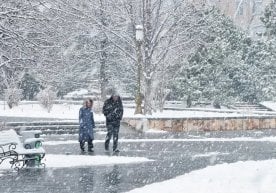 7 январь куни Ўзбекистон ҳудудларида қишга хос, бироқ