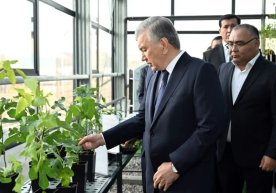 Президент Шавкат Мирзиёев Жиззах вилоятига ташрифи