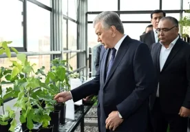Президент Шавкат Мирзиёев Жиззах вилоятига ташрифи