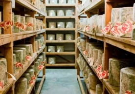 Фото: Neal’s Yard Dairy Фирибгарлар сут маҳсулотларини