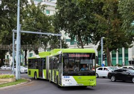 2026 йилнинг январь–февраль ойларида Ўзбекистонда жами 68