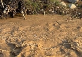 O'zbekistonda kelasi uch kun davomida sel xavfi