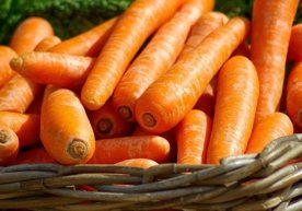 Carrots are among the most beneficial vegetables,