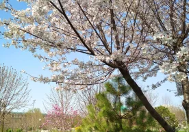 “Ўзгидромет” баҳорнинг биринчи ойида қандай об-ҳаво