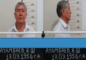 Ҳуқуқ-тартибот органлари томонидан қўлга олинган