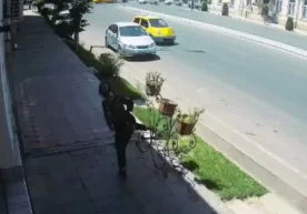 Ижтимоий тармоқларда Самарқанд шаҳрида кўчада кетаётган